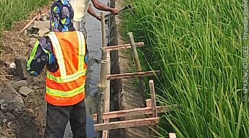 Slogan No Gratifikasi VS Fakta Lapangan: Proyek P3A-TGAI diPegedangan Udik Kronjo Hasil Sulap